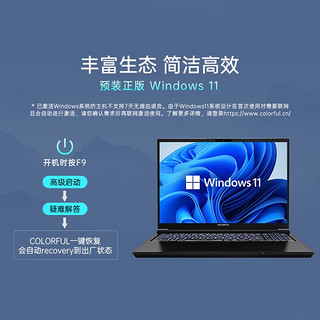 COLORFUL 七彩虹 将星X16Pro 十三代酷睿版 16.0英寸 游戏本