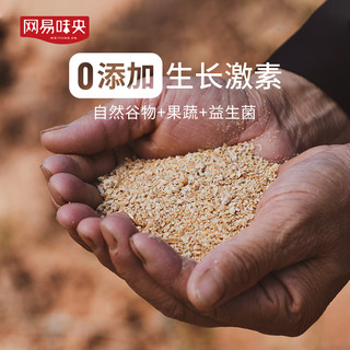 网易味央生鲜黑猪肉肉丝200g*4猪肉切丝炒菜