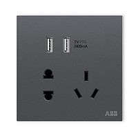 PLUS会员：ABB 盈致系列 灰色 五孔带双USB插座