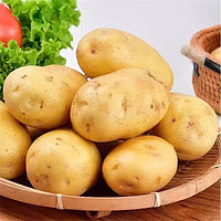 乡语小吖 云南黄皮土豆9斤装（大果）新鲜蔬菜 黄心土豆 马铃薯 洋芋 生鲜
