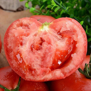 乡语小吖新疆普罗旺斯西红柿 5斤中果 正宗沙瓤自然熟番茄 新鲜蔬菜生鲜