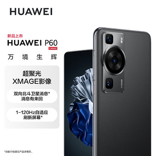 HUAWEI 华为 P60 256GB