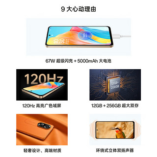 OPPO 自营OPPO A1 5G 120Hz高亮广色域屏 67W超级闪充 5000万像素8GB+256GB