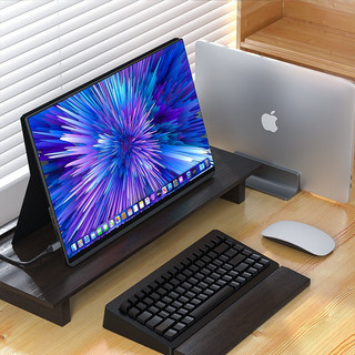 6DSHARK 六维鲨 G15F16 15.6英寸 IPS 显示器（1920×1080、120Hz、45%NTSC）
