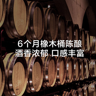 京东京造 智利进口红气球6个月橡木桶梅洛干红葡萄酒750ml*6  整箱装