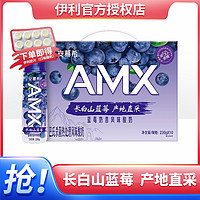 yili 伊利 安慕希AMX长白山 蓝莓奶昔风味酸奶230g*10瓶 整箱装