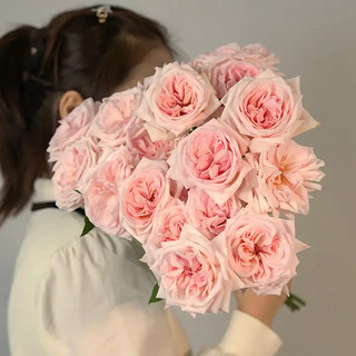 河北科学技术出版社 芊芊细语旗舰店 20支随机玫瑰 送20支随机玫瑰