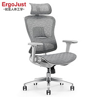Ergojust 爱高佳 R5 人体工学椅电脑椅