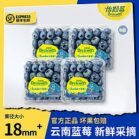 怡颗莓 云南蓝莓超大果125g*4盒当季限量新鲜采摘蓝莓果径18mm以上