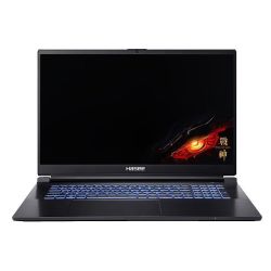 神舟游戏本_Hasee 神舟 G8R9 17.3英寸游戏本（i9-13900H、16GB、1TB、RTX 4060）多少钱-什么值得买
