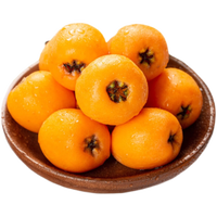 寻鲜缘季 四川高山甜枇杷 1斤大果40-50g