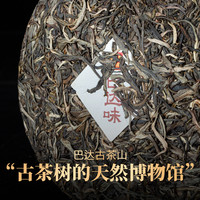 雨林古树茶 2022茗山巴达味 云南古树普洱茶生茶饼 勐海茶叶