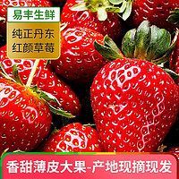 丹东99红颜红颜奶油草莓甄选大果无农残新鲜水果东港产地现摘空运 2斤装(单果25-35g)