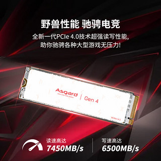 Asgard 阿斯加特 AN4+ NVMe M.2 固态硬盘（PCI-E4.0）