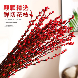 沭之美 银柳年宵花卉室内冬季植物   红色银柳10支60CM高+卡片（不含盆）
