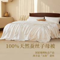 YANXUAN 网易严选 100%野生蚕丝被四季被芯150*200cm