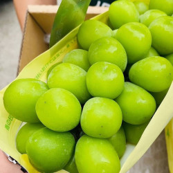 5元】梦芷葡萄/提子_云南晴王阳光玫瑰葡萄 1斤装多少钱-什么值得买