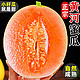 龙觇    优品黄河蜜瓜   9斤5-6个