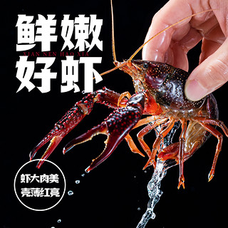 海底捞 开饭了麻辣小龙虾750g