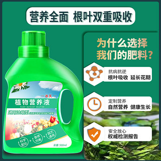 冰天 植物浓缩营养液 50ml