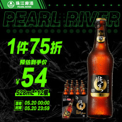 pearlriver珠江啤酒97纯生啤酒528ml
