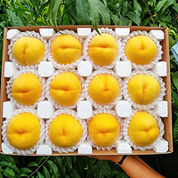 乡语小吖 现摘黄桃 3斤120g-150g 黄金毛桃 黄肉桃子顺丰 当季新鲜水果生鲜