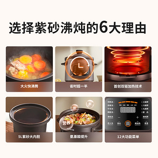 Joyoung 九阳 电炖锅煲汤锅砂锅家用紫砂插电全自动陶瓷炖汤炖盅煮粥沸炖