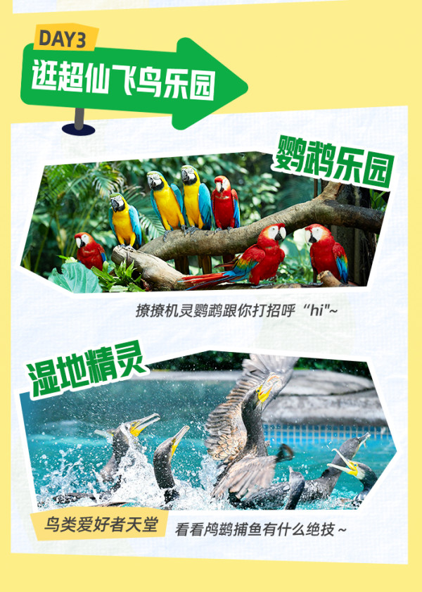 3日无限次畅玩3园!广州长隆/熊猫/香江酒店2晚套餐(含早+大马戏+畅玩3园)
