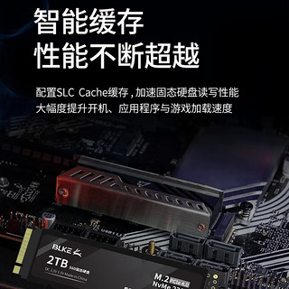 BLKE 戴尔笔记本固态硬盘M.2 PCIe4.0×4 灵越16Pro游匣G15/G16游戏本硬盘 戴尔笔记本专用SSD固态硬盘 2TB