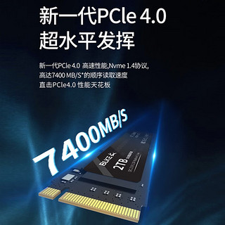 BLKE 宏碁笔记本固态硬盘M.2接口 NVMe协议 PCIe 4.0暗影骑士掠夺者游戏本升级硬盘 宏碁笔记本专用SSD固态硬盘 2TB