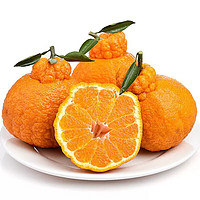 乡语小吖 四川不知火丑橘3斤70-75mm 新鲜水果丑八怪耙耙柑丑橘橘桔子生鲜