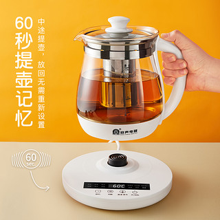 容声养生壶家用多功能保温煮茶器玻璃办公室小型煮茶壶烧水壶2384