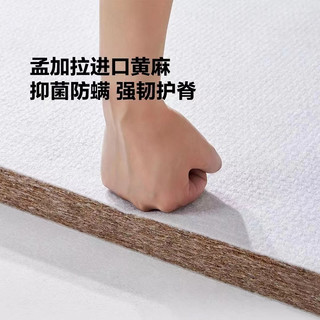  8H 护脊 乳胶床垫 弹簧垫  20-25cm（含） 偏硬
