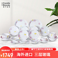 Pyrex 康宁餐具 碗碟套装 郁金香20件套