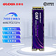 GUDGA 固德佳 GXF PROm.2nvme台式电脑ps5笔记本2tb固态硬盘m2ssd