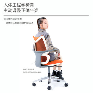 gavee青少年人体工学椅 可升降学习椅子电脑椅舒适久坐家用办公椅