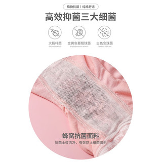 浪莎女童安全裤儿童防走光春夏季儿童内裤宝宝女孩纯色透气平角裤