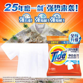 Tide 汰渍 净白去渍洗衣粉