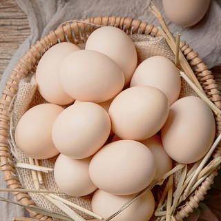 云依禾农庄 农家土鸡蛋初生蛋柴鸡蛋 散笨鸡蛋 30枚