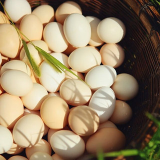 云依禾农庄 农家土鸡蛋初生蛋柴鸡蛋 散笨鸡蛋 30枚