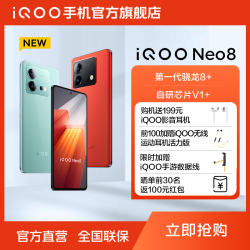 iQOO vivo iQOO Neo8 120W闪充大电池骁龙芯片游戏手机