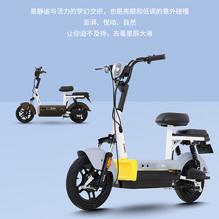 AIMA 爱玛 战将新国标可上牌48V20AH铅酸轻骑小型成人大踏板电动车电瓶车 星空白-源彩咖啡