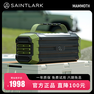 SAINTLARK 圣百灵 K50 音箱