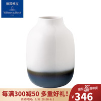 德国唯宝（Villeroy&Boch）乐夫系列 进口花瓶 客厅摆件插花艺术摆设 欧式优雅花瓶 点纹蓝白（大）