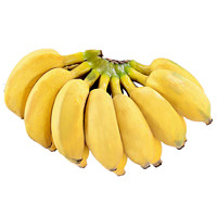粤品广西正宗小米蕉新鲜香蕉芭蕉水果香焦自然熟整箱苹果蕉粉蕉甜 9斤