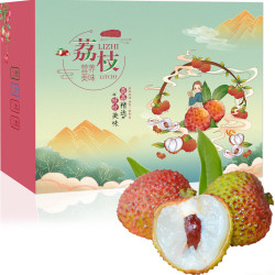 FEICHANG 妃尝 海南荔枝 妃子笑 净重 4.5-5g