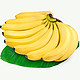 PLUS会员：枝头春 大香蕉 9斤装