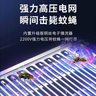志高灭蚊灯室内家用抓蚊器餐厅饭店灭蝇灯商用苍蝇神器蚊虫诱灭器 LED-50W+2根原装灯条 (适用100平方） 1个