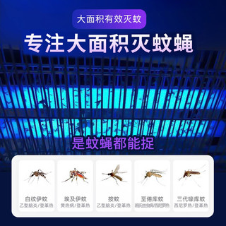 志高灭蚊灯室内家用抓蚊器餐厅饭店灭蝇灯商用苍蝇神器蚊虫诱灭器 LED-50W+2根原装灯条 (适用100平方） 1个