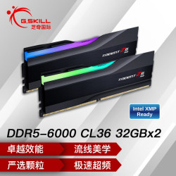 G.SKILL 芝奇 32Gx2套装 DDR5 6000频率 台式机内存条-幻锋戟RGB灯条(黯雾黑)/C36